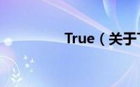 True（关于True的简介）