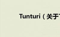 Tunturi（关于Tunturi的简介）