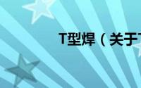 T型焊（关于T型焊的简介）