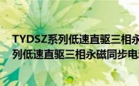 TYDSZ系列低速直驱三相永磁同步电动机（关于TYDSZ系列低速直驱三相永磁同步电动机的简介）