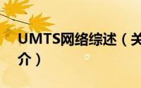 UMTS网络综述（关于UMTS网络综述的简介）