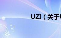 UZI（关于UZI的简介）