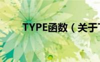 TYPE函数（关于TYPE函数的简介）