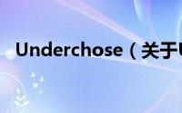 Underchose（关于Underchose的简介）