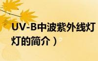 UV-B中波紫外线灯（关于UV-B中波紫外线灯的简介）