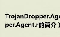 TrojanDropper.Agent.r（关于TrojanDropper.Agent.r的简介）