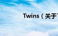 Twins（关于Twins的简介）