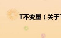 T不变量（关于T不变量的简介）