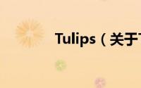 Tulips（关于Tulips的简介）