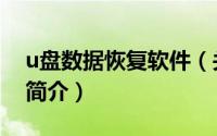 u盘数据恢复软件（关于u盘数据恢复软件的简介）