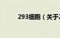 293细胞（关于293细胞的简介）