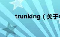 trunking（关于trunking的简介）