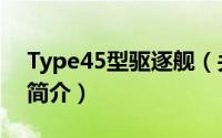 Type45型驱逐舰（关于Type45型驱逐舰的简介）