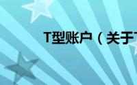 T型账户（关于T型账户的简介）