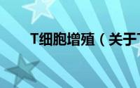 T细胞增殖（关于T细胞增殖的简介）