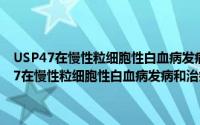 USP47在慢性粒细胞性白血病发病和治疗中的作用和机制（关于USP47在慢性粒细胞性白血病发病和治疗中的作用和机制的简介）