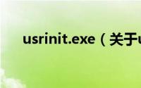 usrinit.exe（关于usrinit.exe的简介）