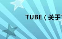 TUBE（关于TUBE的简介）