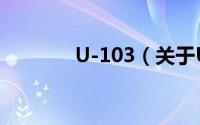 U-103（关于U-103的简介）