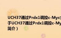 UCH37通过Prdx1调控c-Myc介导的人肝癌复发的分子机制研究（关于UCH37通过Prdx1调控c-Myc介导的人肝癌复发的分子机制研究的简介）