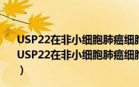 USP22在非小细胞肺癌细胞增殖中的作用及相关机制（关于USP22在非小细胞肺癌细胞增殖中的作用及相关机制的简介）