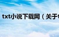 txt小说下载网（关于txt小说下载网的简介）
