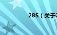 28S（关于28S的简介）