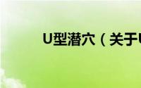 U型潜穴（关于U型潜穴的简介）