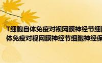 T细胞自体免疫对视网膜神经节细胞神经保护作用的研究（关于T细胞自体免疫对视网膜神经节细胞神经保护作用的研究的简介）