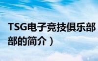 TSG电子竞技俱乐部（关于TSG电子竞技俱乐部的简介）