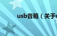 usb音箱（关于usb音箱的简介）