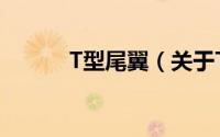 T型尾翼（关于T型尾翼的简介）