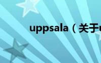 uppsala（关于uppsala的简介）