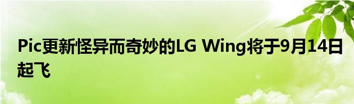 Pic更新怪异而奇妙的LG Wing将于9月14日起飞