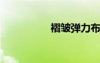 褶皱弹力布是什么面料