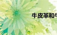 牛皮革和牛皮哪个贵