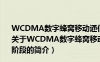 WCDMA数字蜂窝移动通信网终端设备技术要求 第三阶段（关于WCDMA数字蜂窝移动通信网终端设备技术要求 第三阶段的简介）