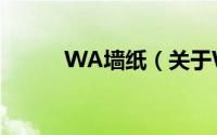 WA墙纸（关于WA墙纸的简介）