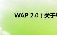 WAP 2.0（关于WAP 2.0的简介）