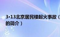 3·13北京居民楼起火事故（关于3·13北京居民楼起火事故的简介）