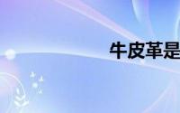牛皮革是不是真皮