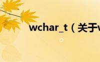 wchar_t（关于wchar_t的简介）