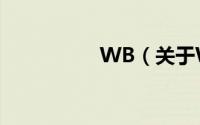 WB（关于WB的简介）