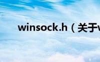 winsock.h（关于winsock.h的简介）