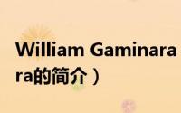 William Gaminara（关于William Gaminara的简介）