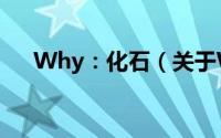 Why：化石（关于Why：化石的简介）