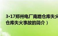3·17郑州电厂南路仓库失火事故（关于3·17郑州电厂南路仓库失火事故的简介）