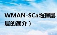 WMAN-SCa物理层（关于WMAN-SCa物理层的简介）