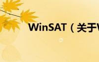 WinSAT（关于WinSAT的简介）