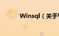 Winsql（关于Winsql的简介）